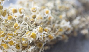 Как да обогатим крема си за лице с билки (видео)