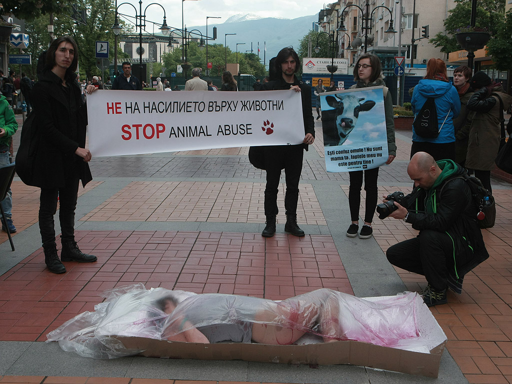 Протест "Месото е убийство" организираха вегани и вегетарианци в София. Хора, пакетирани като пилета в тарелки, бяха "сервирани" на бул. Витоша