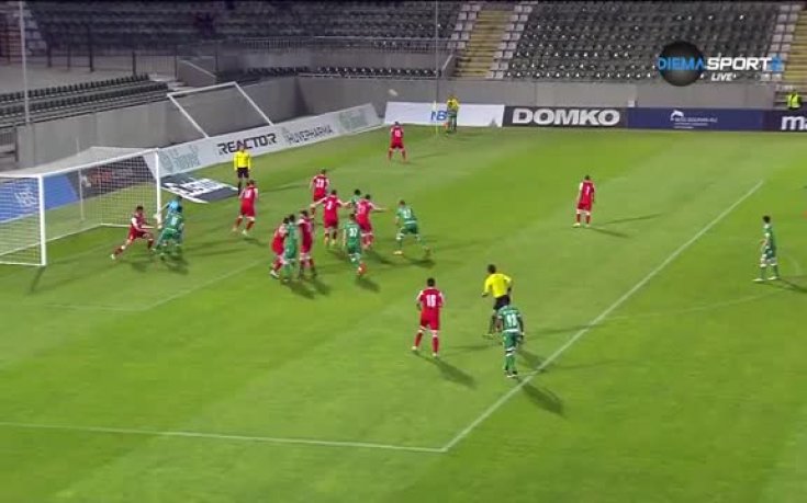 ВИДЕО: Препелица порази вратата на Пирин