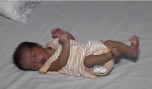 Вижте...Малкия Путин