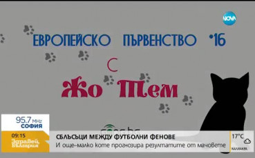 2 от 3 за малкото коте