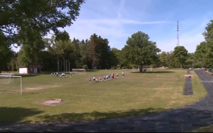 Огромен дъб помага на деца да изучат футболните тънкости