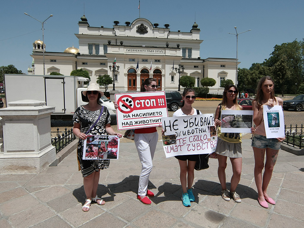 Протестиращите искат промяна в законодателството и "да се приравни убийството на всяко едно животно с убийството на хора. Искаме животът на животните да се третира по същия начин, както животът на хората"