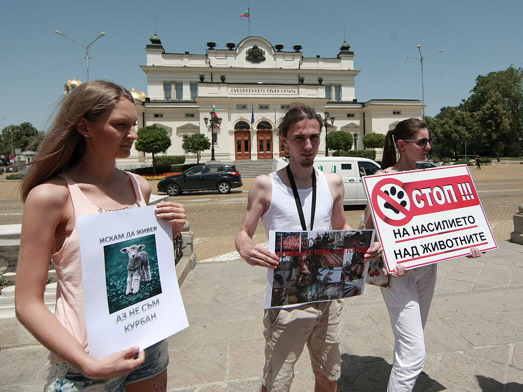 Протестиращите искат промяна в законодателството и "да се приравни убийството на всяко едно животно с убийството на хора. Искаме животът на животните да се третира по същия начин, както животът на хората"