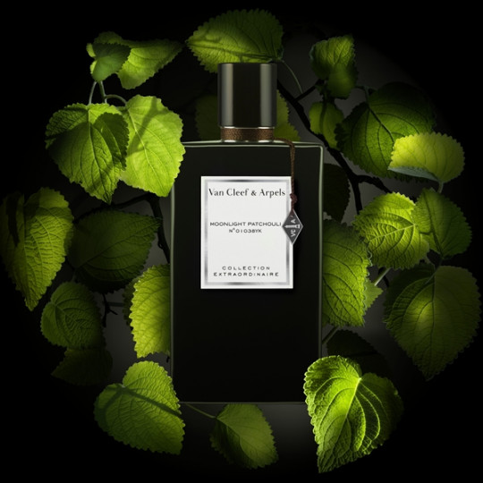 Van Cleef & Arpels Moonlight Patchouli: светлината пада върху пачули под лунното небе: флорално сърце разцъфва с българска роза и красив пудрен ирис. Базовите нотки разкриват кадифен акорд, като прибавят фасети на кожа и плодове за по-дълготрайна уханна следа.
Върху кожата, парфюмът се разкрива с дървесно-кожените си нотки за него и с пудрено-флоралната си фасета за нея.