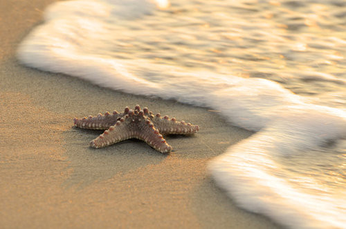 Дневен хороскоп за 17.07. - снимка 6