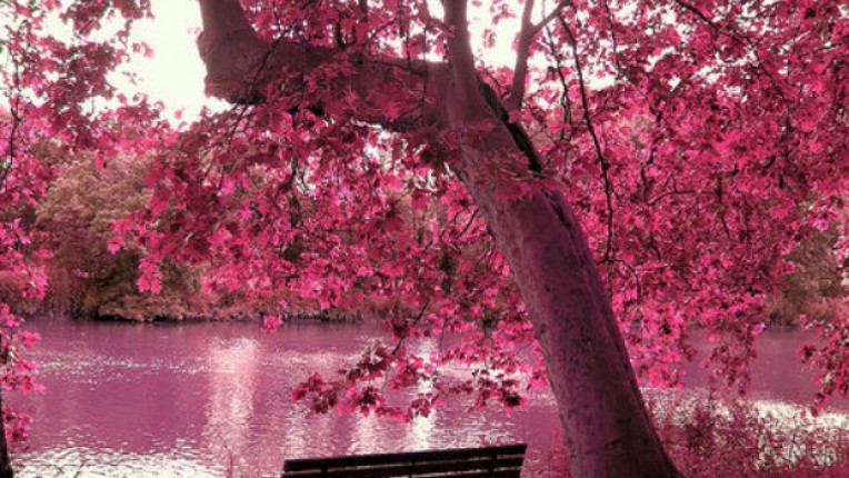  Поверия за Благовещение! 