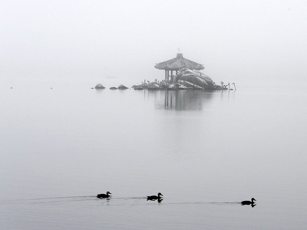 Пагода е обвита от гъста мъгла в езеро в Южна Корея