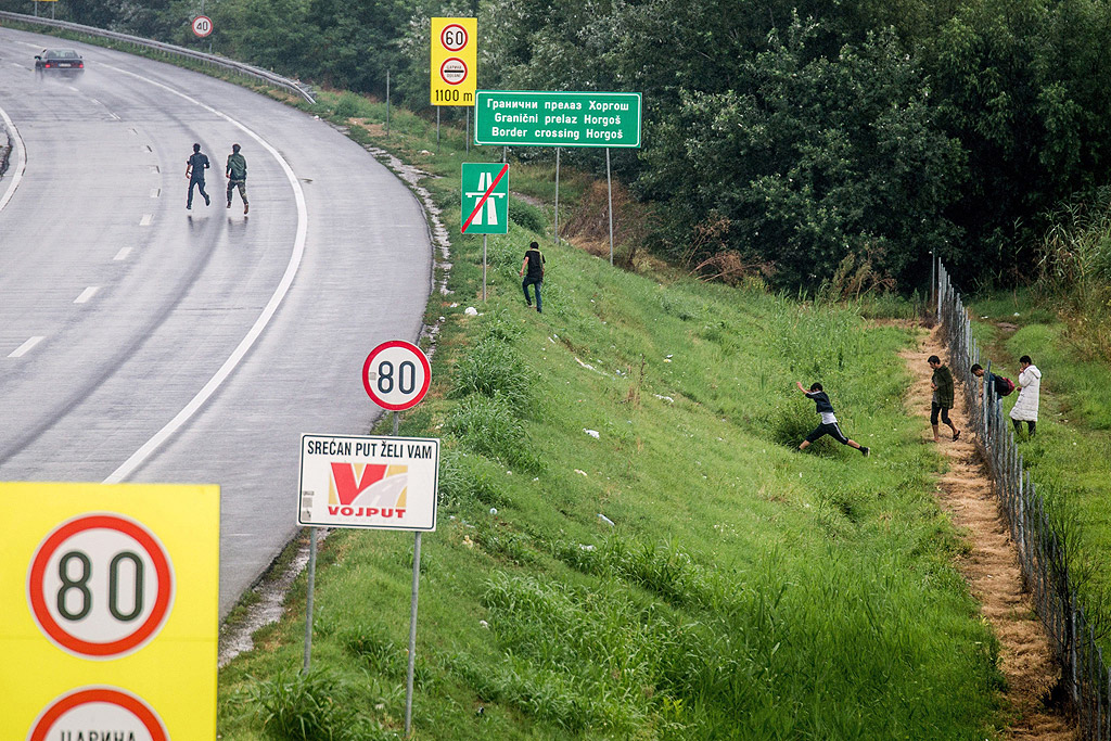 Имигранти тичат по магистралата към границата между Сърбия и Унгария в Хоргош, Сърбия. Около 1400 имигранти, пребиваващи в Сърбия чакат възможност да продължат своето пътуване до западните страни на Европейския съюз през Унгария.
