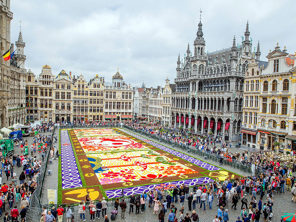Доброволци подреждат цветя Бегония, за да направят гигантски цветен килим на Grand Place в Брюксел, Белгия. Тазгодишната тема отбелязва 150 години от белгийско-японската дружба. Цветния килим ще бъде изложен за обществеността от 13 до 15 август.
