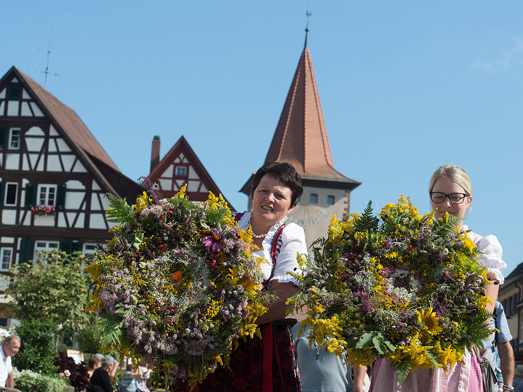 Жени носят венци с билки в Генгенбах, Германия. Всяка година на Успение Богородично, град Генгенбах чества Деня на билките