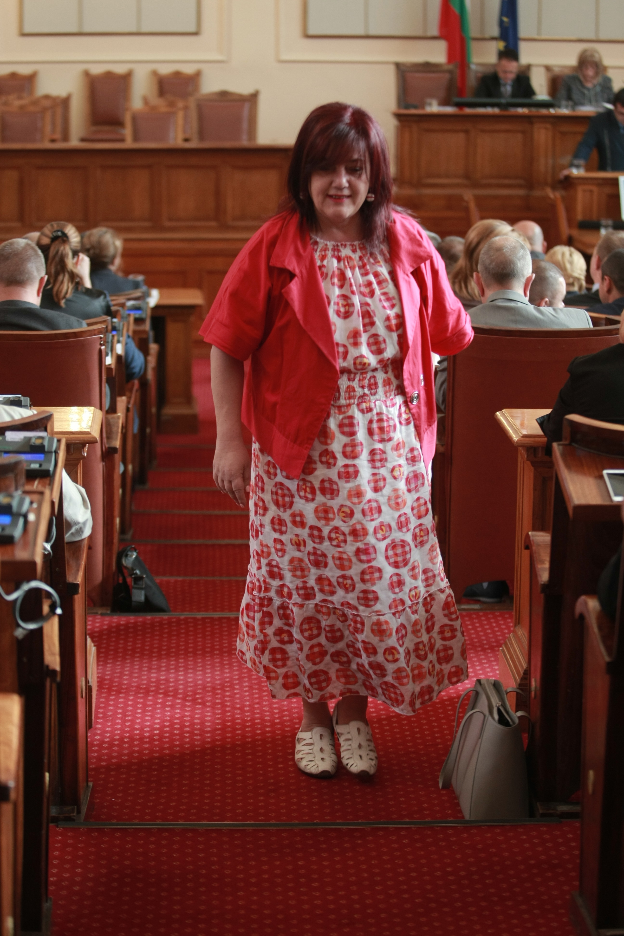 Модата в парламента