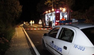 Крави предизвикаха зверска катастрофа край Русе