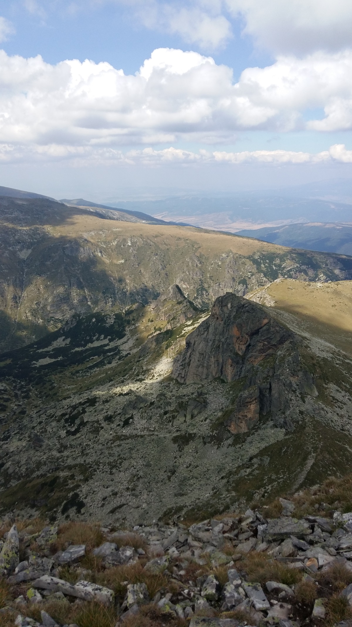 Мальовица е името на връх в северозападната част на планина Рила. Върхът е висок 2729 м. Името на върха е свързано с Мальо войвода – борец срещу поробителите, загинал според преданието нейде в Мальовишката долина.