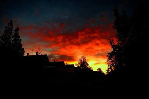 Дневен хороскоп за 10.09. - снимка 2