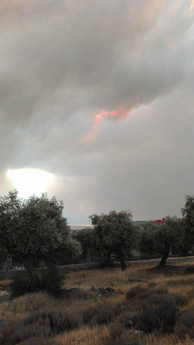 Пожар гори на гръцкия остров Тасоса. Пожарът е в района на Лименария.