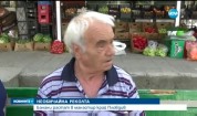 Бананови дръвчета растат в манастир край Пловдив