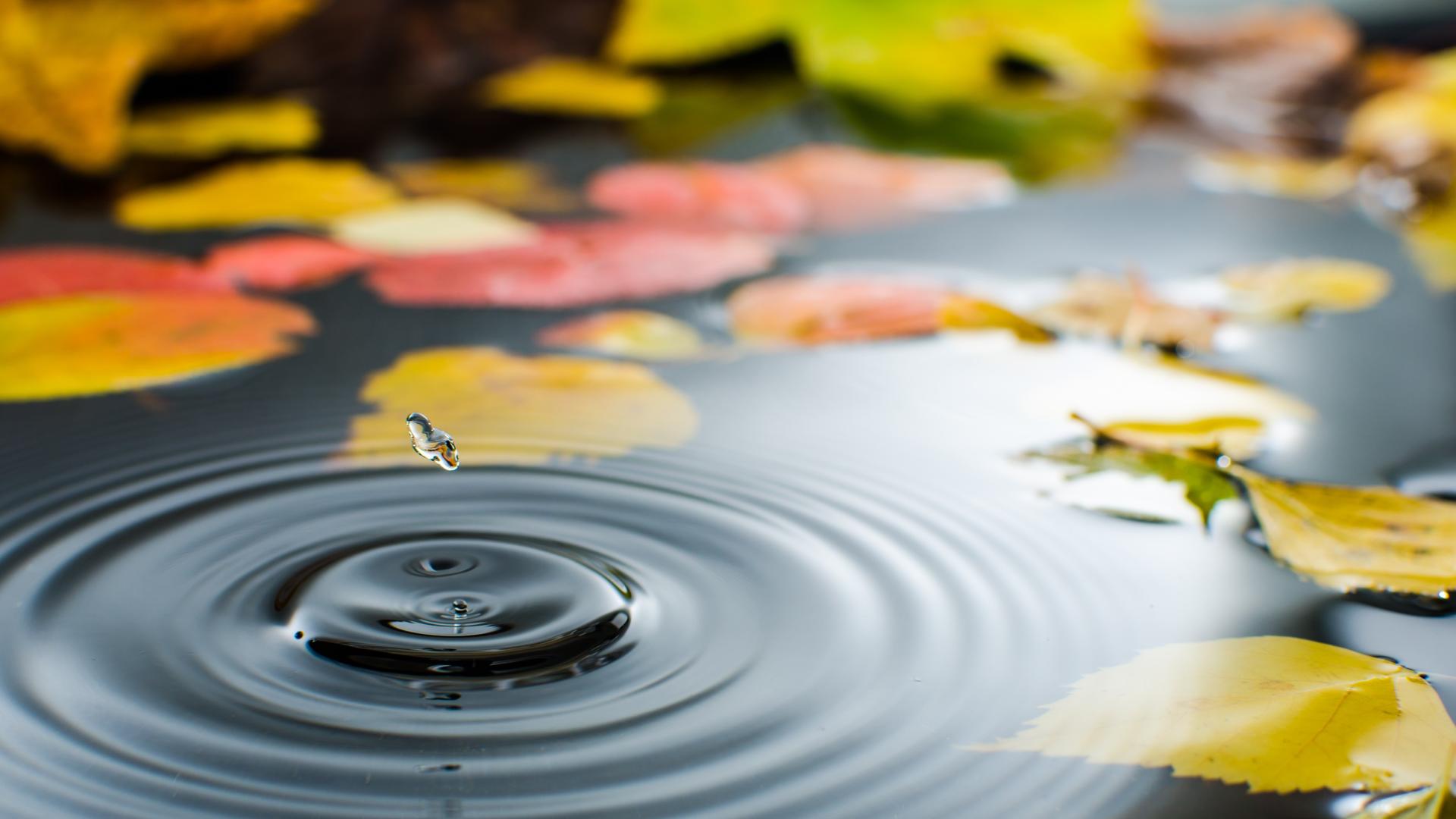 През следващото денонощие над по голямата част от страната облачността ще