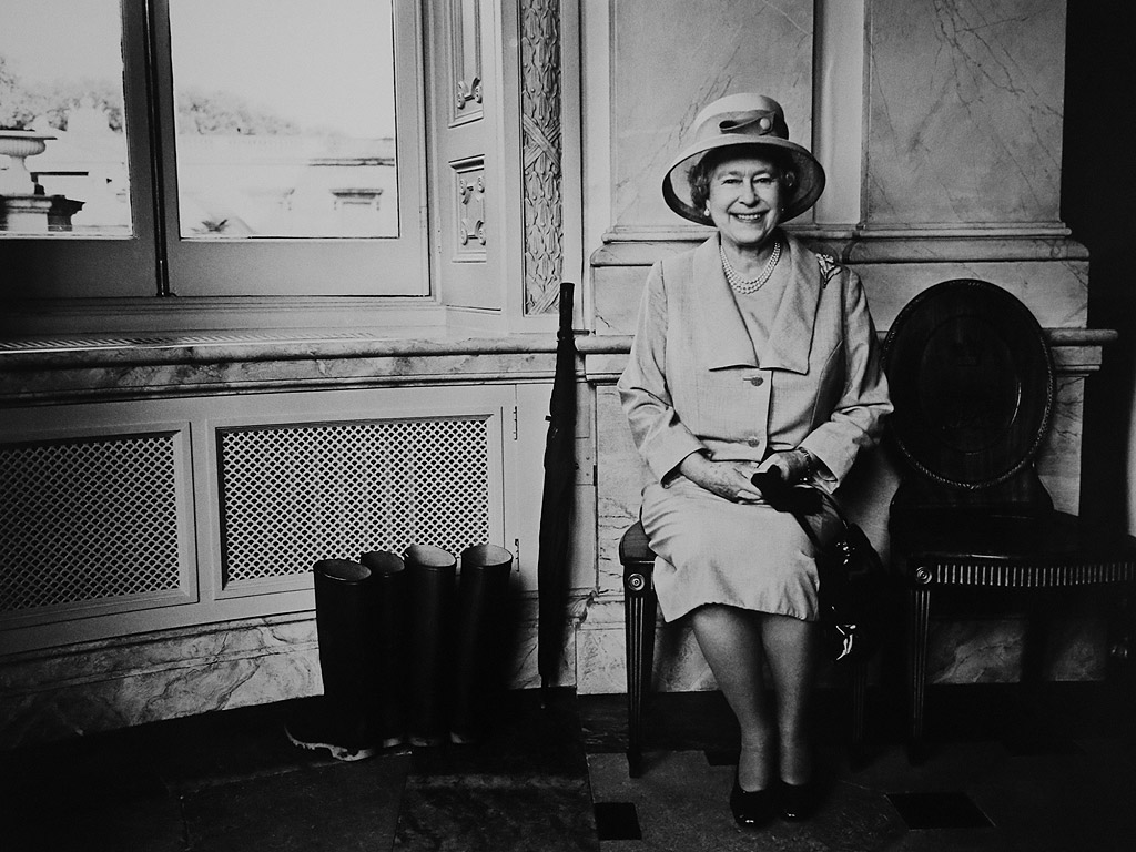 Експозицията включва две фотографски серии на Адамс: "Ранени" (Wounded), която показва млади британски военни, претърпели тежки травми по време на мисиите в Ирак и Афганистан, и "На фокус" (Exposed), в която пред обектива му застават знаменитости като кралица Елизабет, Мик Джагър, Дъстин Хофман, Стинг, Ейми Уайнхаус, Моника Белучи, Кейт Мос, Виктория Бекъм, Шон Пен и много други.