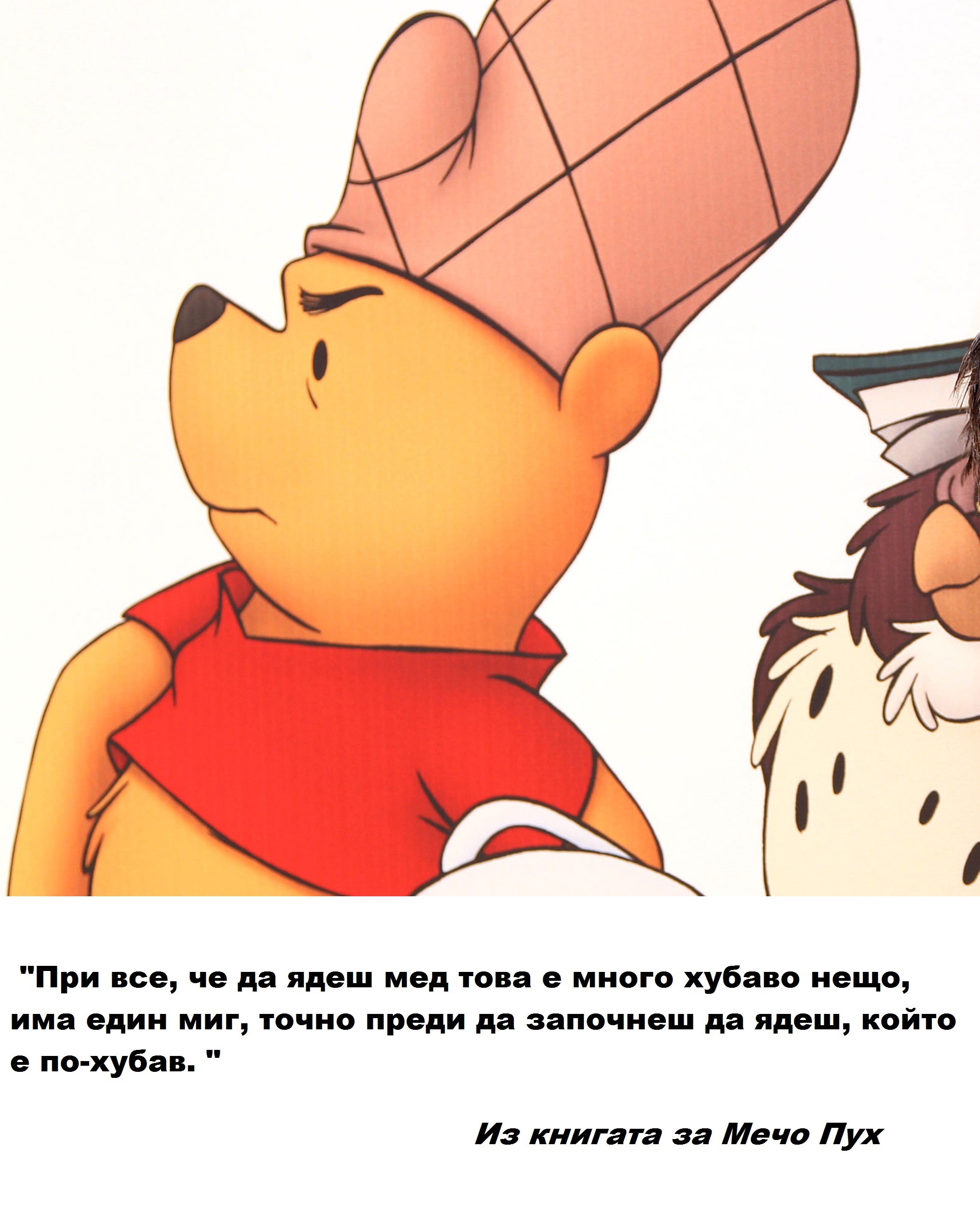 Един от най-любимите герои на малки и вече пораснали деца - Мечо Пух, става на 90 години и по този повод споделяме 10 любими цитата от книгата за мечето
