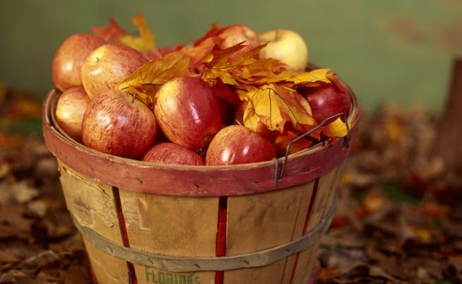 ябълки есен