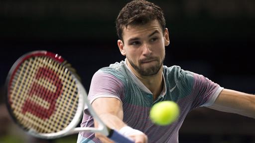  Григор Димитров 