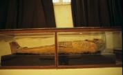 Опасно: Изложба с мумии с гъбички заплашва посетителите