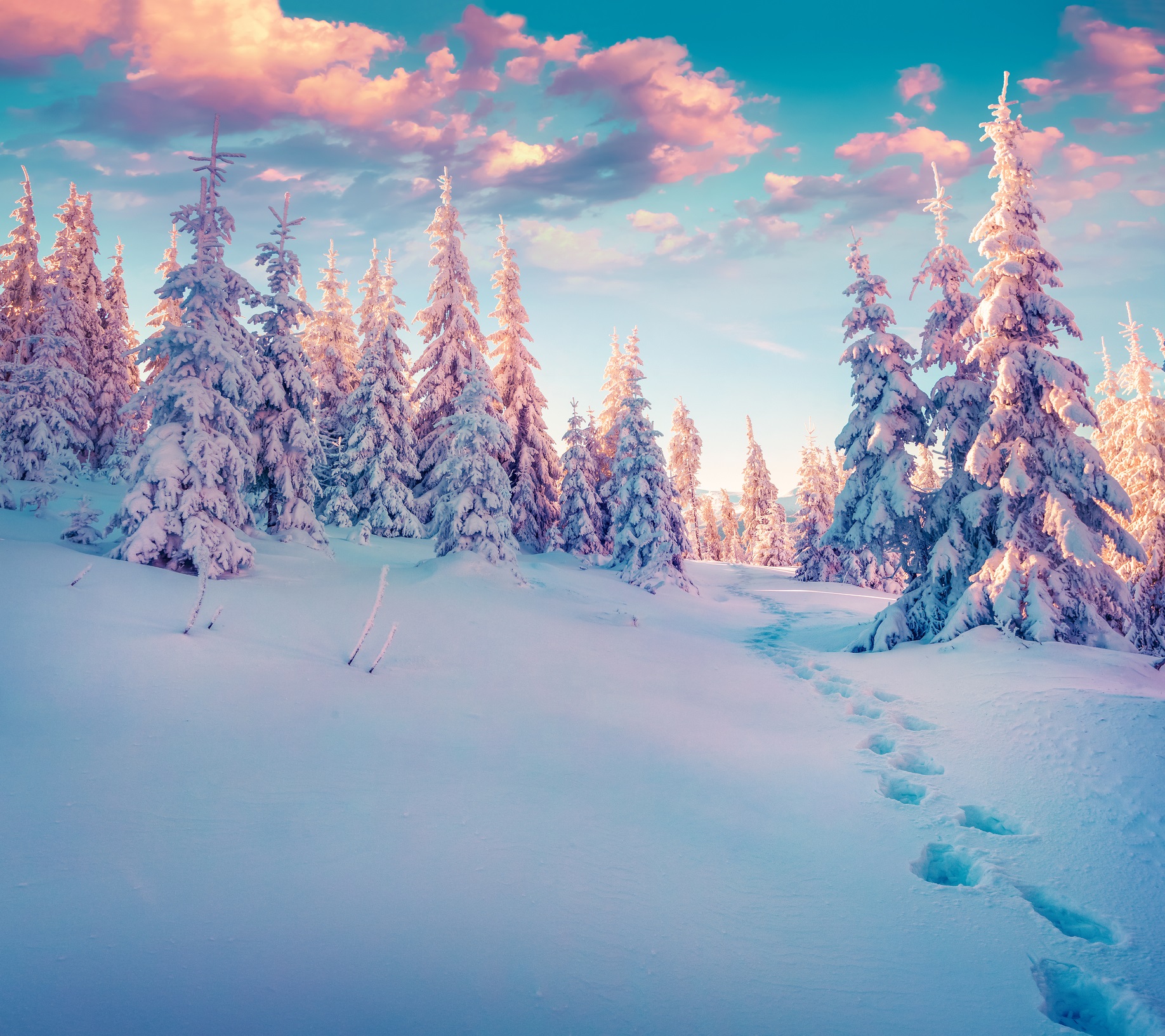 Декември е първият зимен месец, но освен сняг и студено време, той ни носи и много красота. Кара ни да оценим топлината и уюта на семейното огнище.