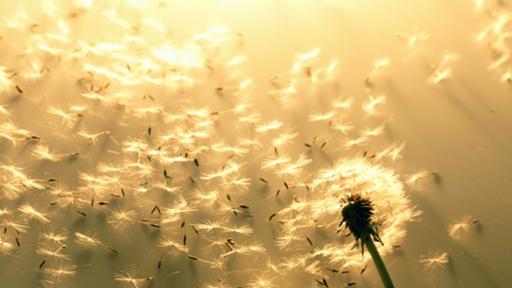  Бурен вятър и прахуляк от Африка над България през днешния ден 