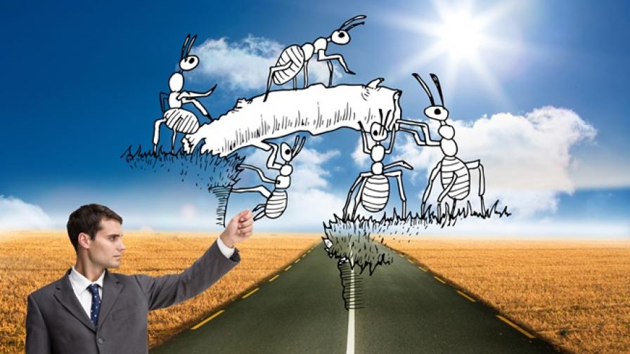 Суперколония на мравки заплашва да превземе света