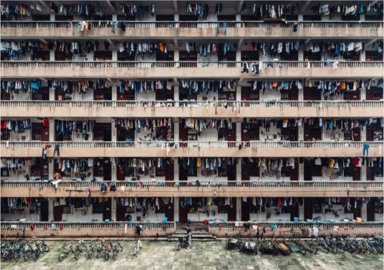 Снимките на 2016-а - снимка 8