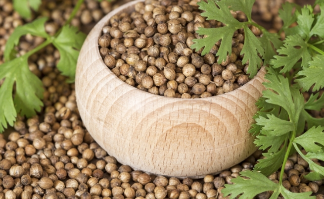 <p><strong>Те обичат кориандър</strong></p>

<p>Кориандърът не е просто подправка &mdash; той помага на организма да изхвърля тежки метали като олово и живак, които се натрупват с възрастта.</p>