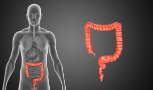 Откритие в медицината: Има полза от апендикса