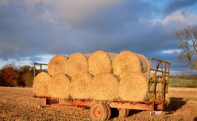 Изразът "игла в купа сено" придоби нов смисъл за британец