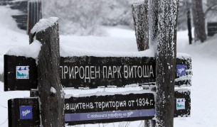 снимка: архив