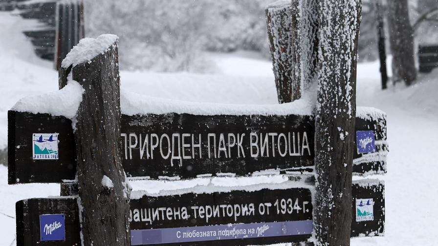 Верижни катастрофи, ранени и сняг в парк "Витоша"