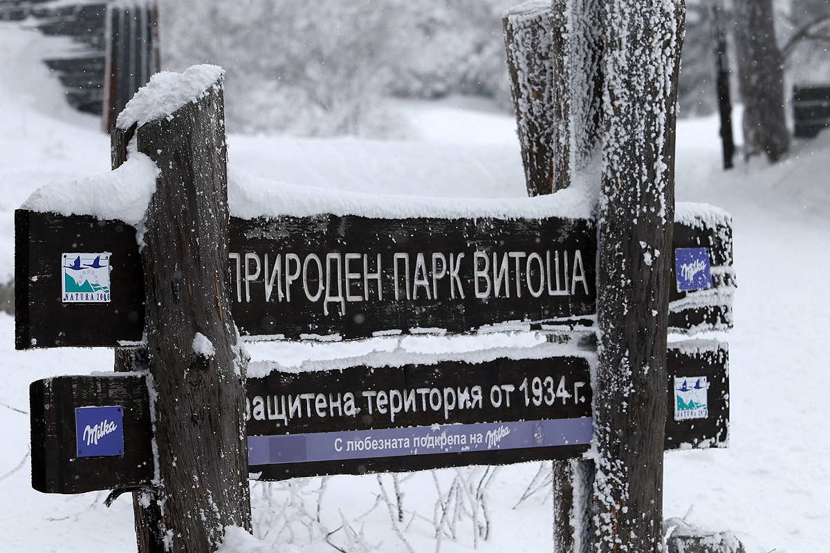 Верижни катастрофи, ранени и сняг в парк "Витоша"