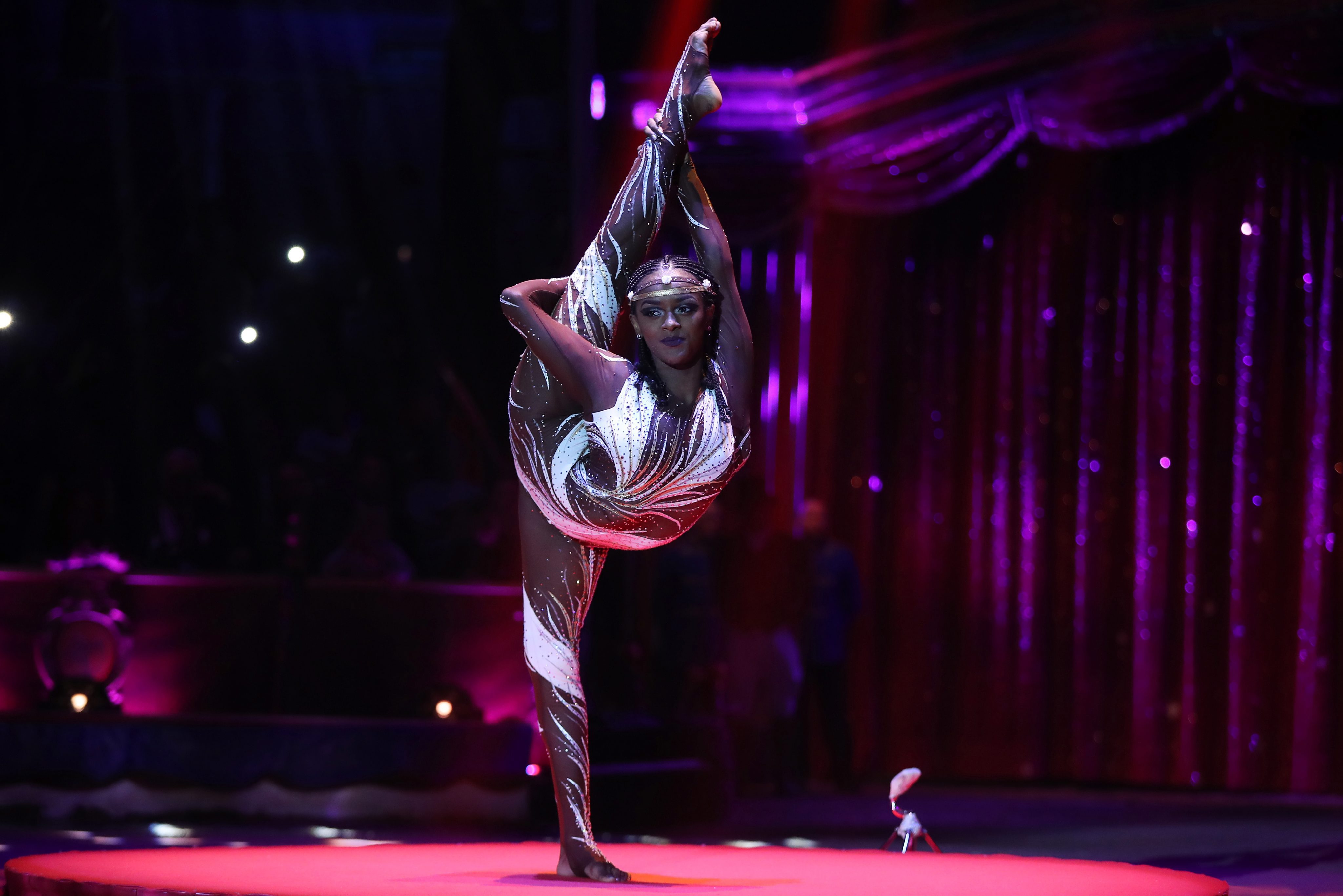 Повече от 120 циркови артисти от цял свят участват на Международния цирков фестивал в Монте Карло, който се провежда за 41-ви път. Фестивалът ежегодно привлича хиляди зрители, желаещи да видят уникалните изпълнения от някои от най-добрите треньори клоуни, жонгльори в света, съобщава Ruptly TV. Кралското семейство на Монако, които са известни с тяхната любов и подкрепа за цирково изкуство, също бяха сред присъстващите на голямото събитие във вторник (24 януари).