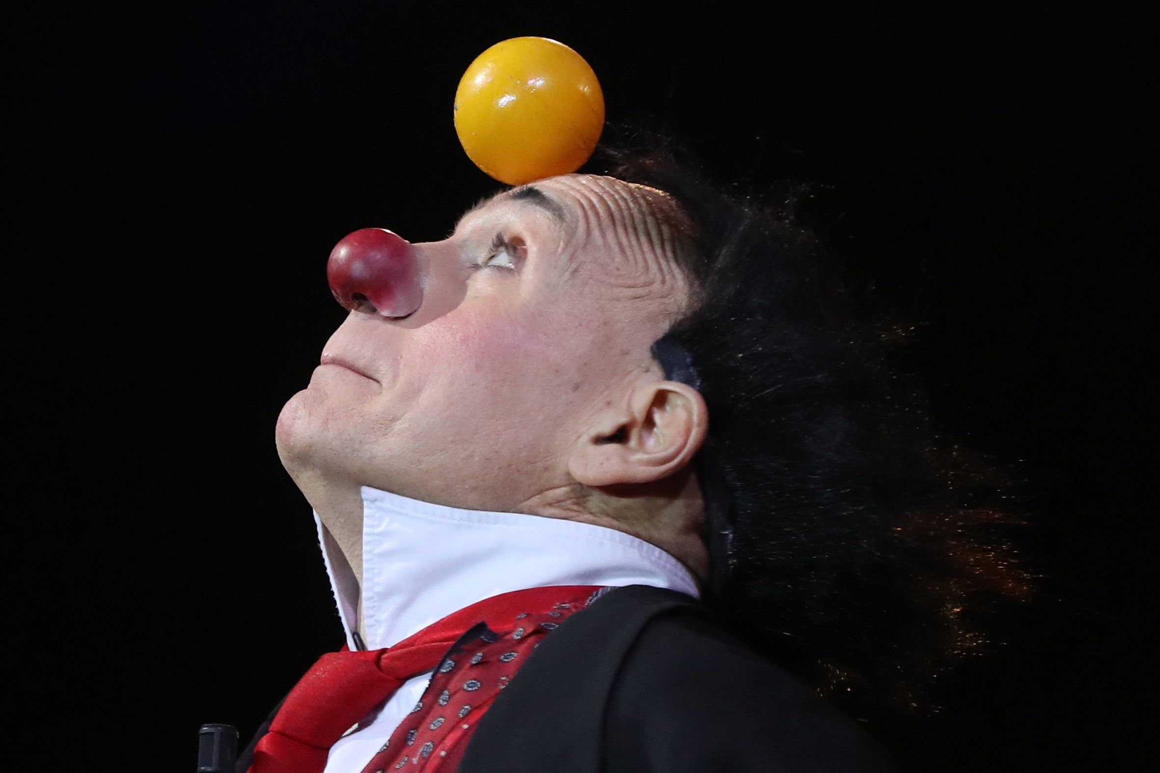 Повече от 120 циркови артисти от цял свят участват на Международния цирков фестивал в Монте Карло, който се провежда за 41-ви път. Фестивалът ежегодно привлича хиляди зрители, желаещи да видят уникалните изпълнения от някои от най-добрите треньори клоуни, жонгльори в света, съобщава Ruptly TV. Кралското семейство на Монако, които са известни с тяхната любов и подкрепа за цирково изкуство, също бяха сред присъстващите на голямото събитие във вторник (24 януари).