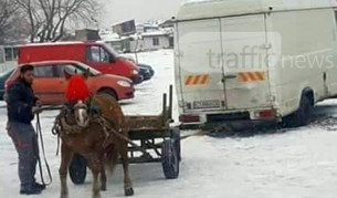 Жестокост: Кон на колене, влачи 2-тонен бус в Пловдив