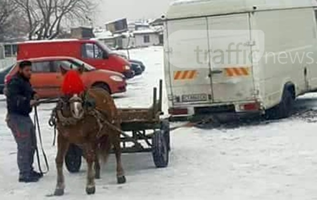 Жестокост: Кон на колене, влачи 2-тонен бус в Пловдив