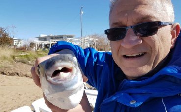 Общинари от Монтана избиха рибата в Турция