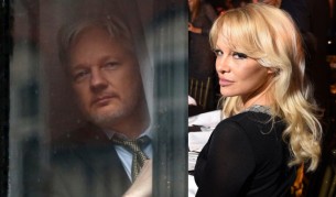 Има ли любовна афера между Андерсън и Джулиан Асандж