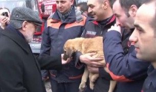 Пожарникари спасиха кученце от 70-метров кладенец