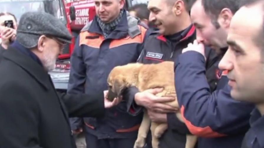 Пожарникари спасиха кученце от 70-метров кладенец