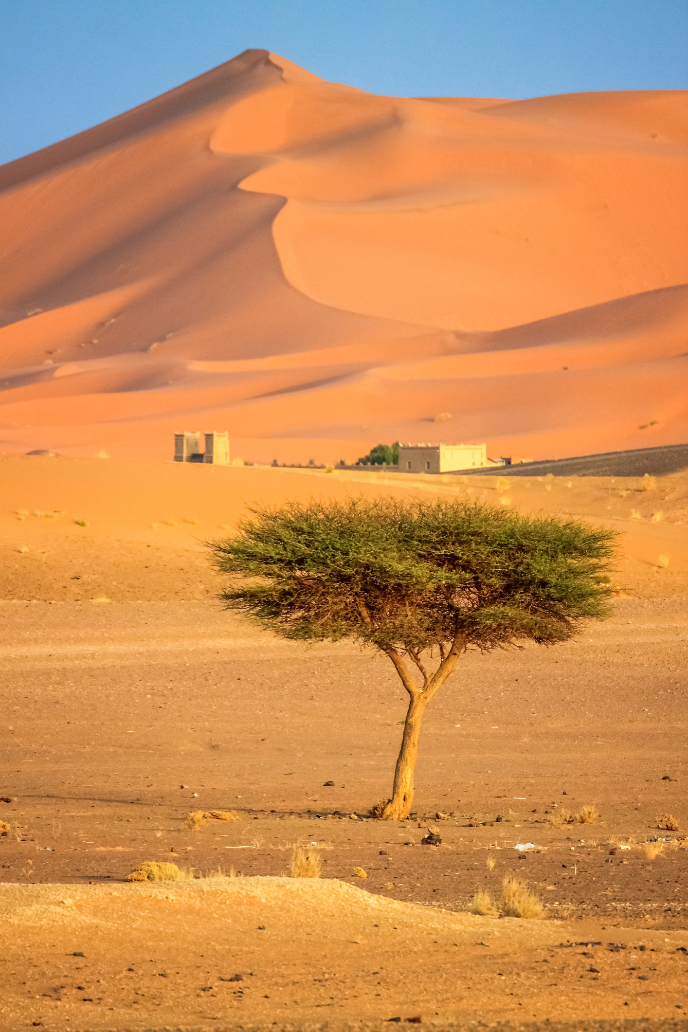 Пустинята Сахара днес е известна като огромно сухо място, без растителност с унищожителни температури и малко валежи. Само преди няколко хиляди години обаче на мястото на пясъка е имало треви и езера