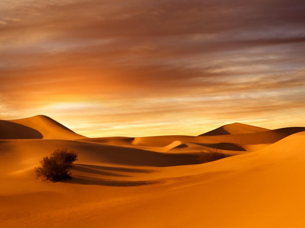 Може да изглежда, че пясъчните дюни и скалисти плата на пустинята