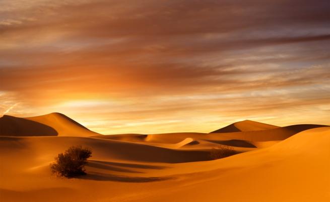 Трансформация: Сахара се превръща в зелена гориста местност
