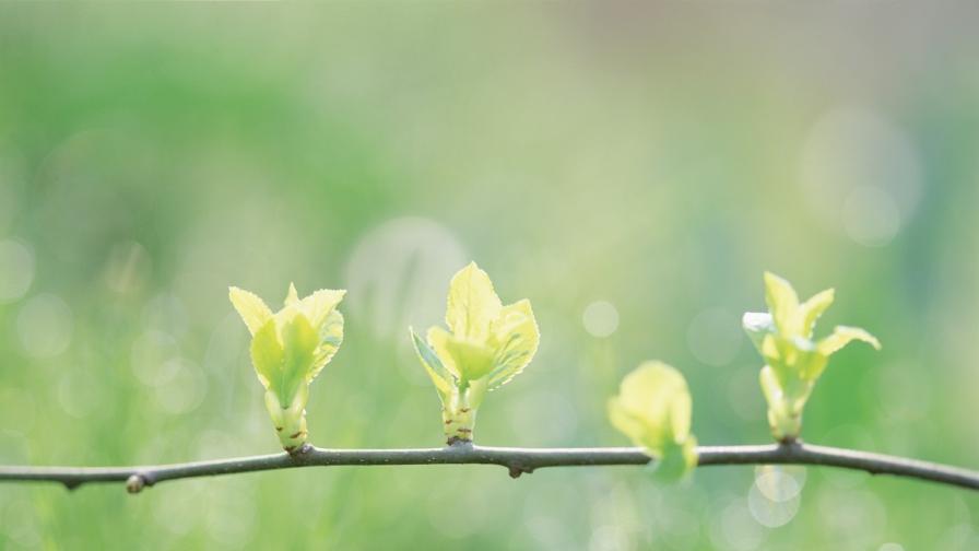 Слънчеви дни след студена нощ: Какви ще са температурите във вторник
