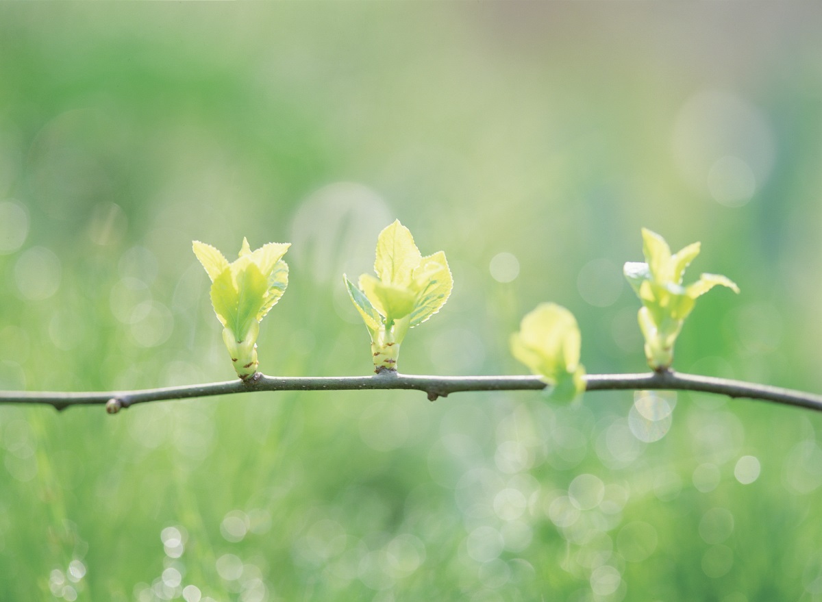 Слънчев петък, но се задава рязък обрат във времето